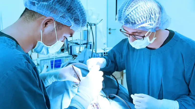 Donación de órganos en España