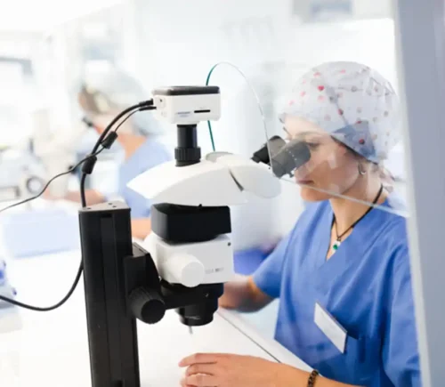 ejercicio y fertilidad, microscopio