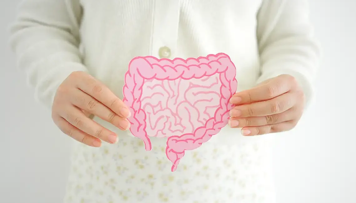 Microbiota intestinal