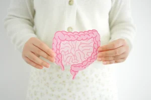 Microbiota intestinal