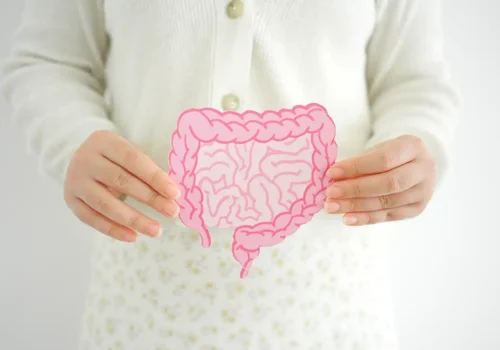 Microbiota intestinal