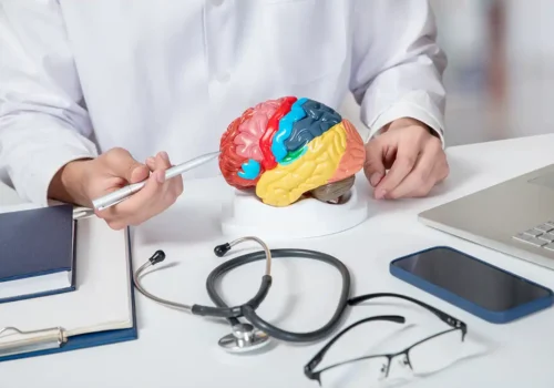 Migraña. Partes del cerebro