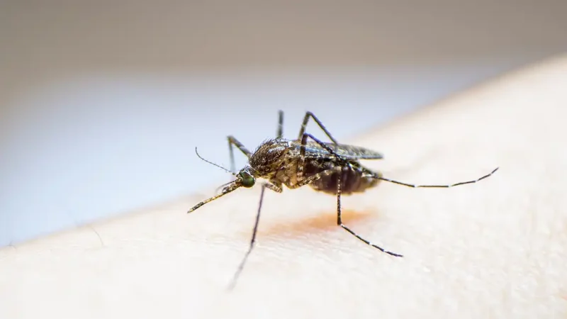 Virus del Nilo Occidental.