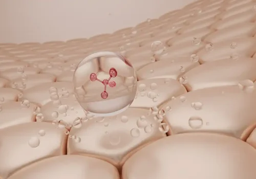 Sistema inmunológico de la piel