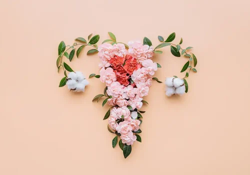 Rejuvenecimiento íntimo