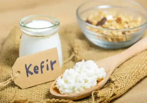 probióticos naturales