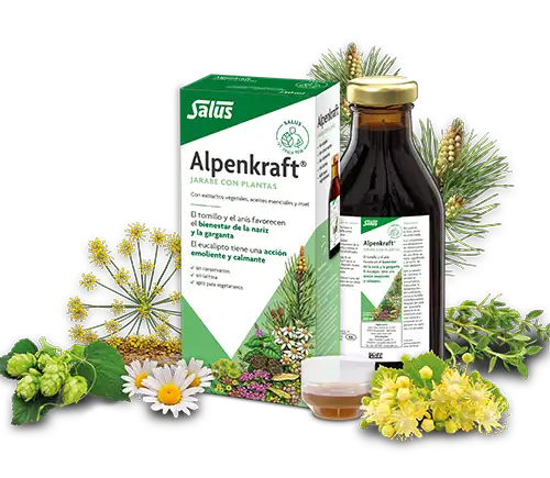 Alpenkraft