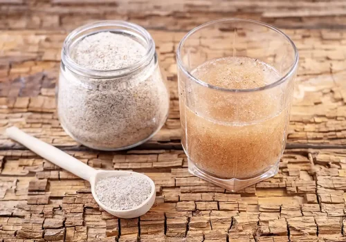 Psyllium