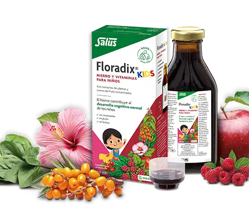 Floradix Kids