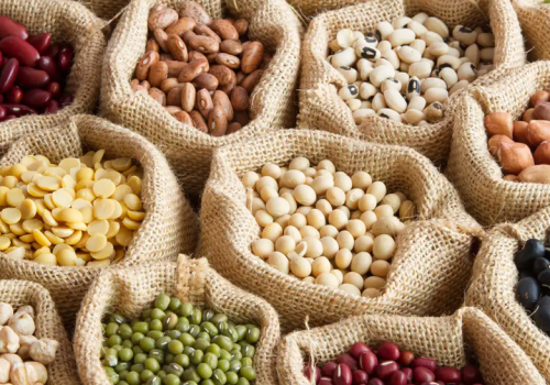 Alimentos con proteína vegetal