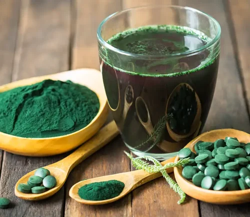 Chlorella