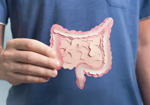 Microbiota intestinal